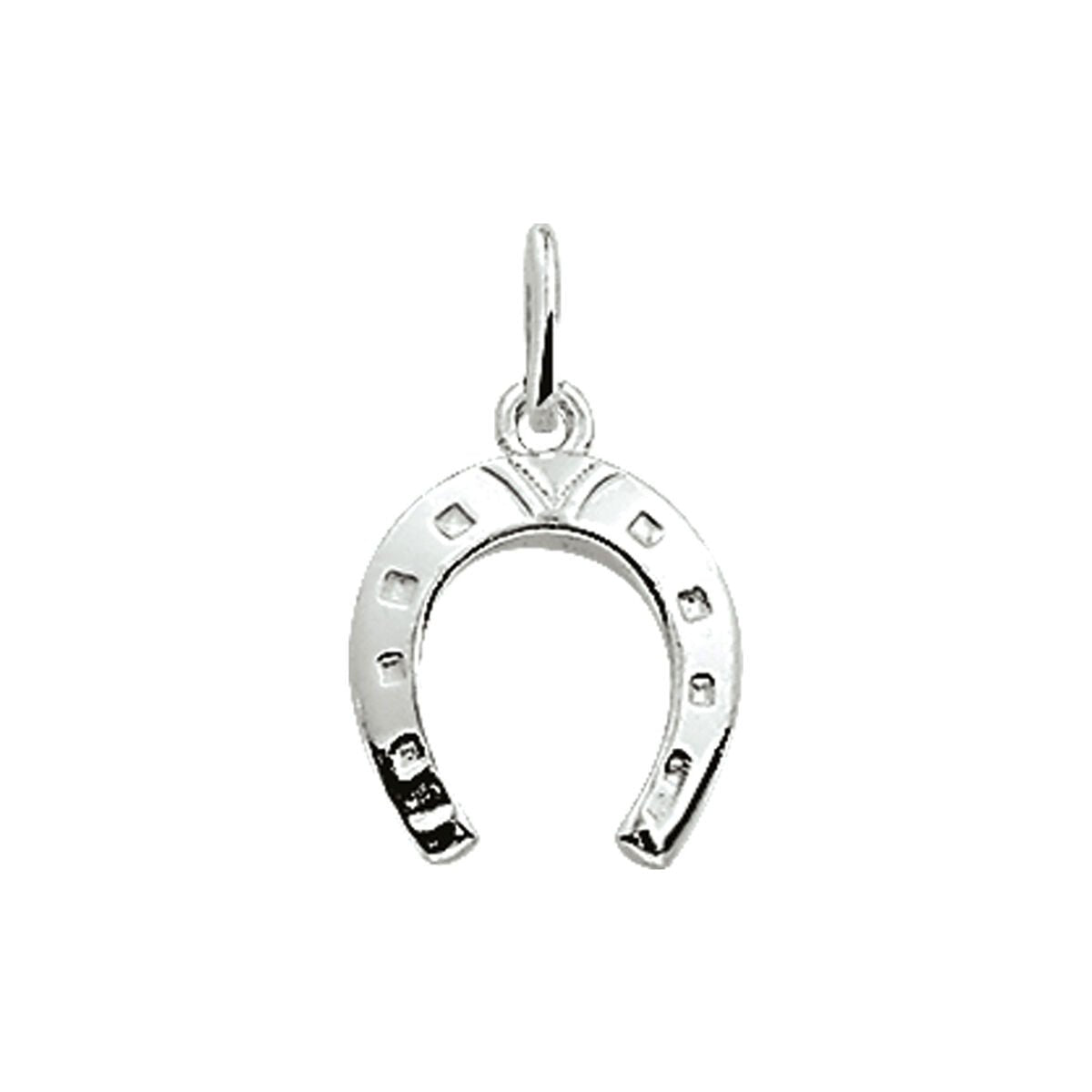 Hanger Hoefijzer