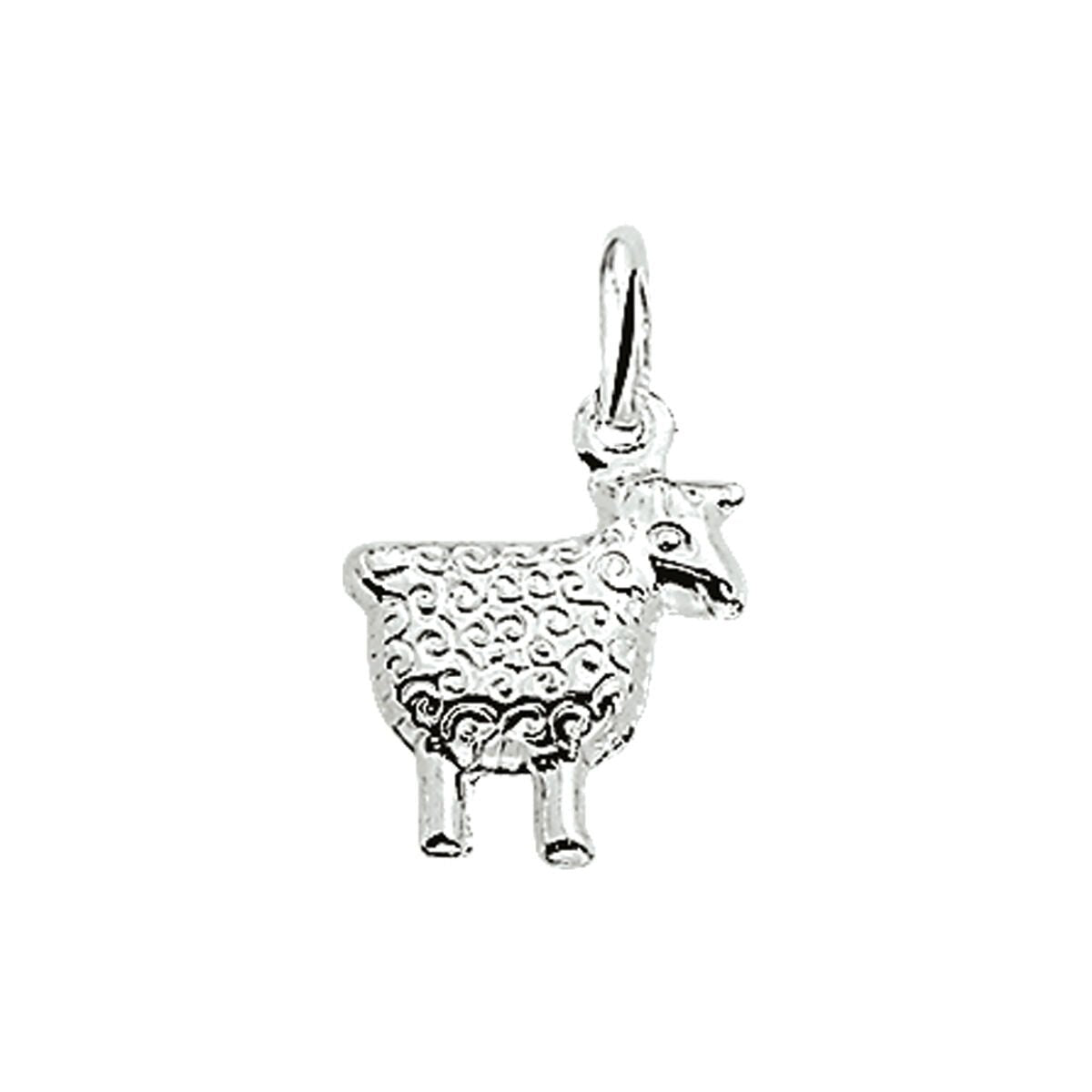 Hanger Schaap