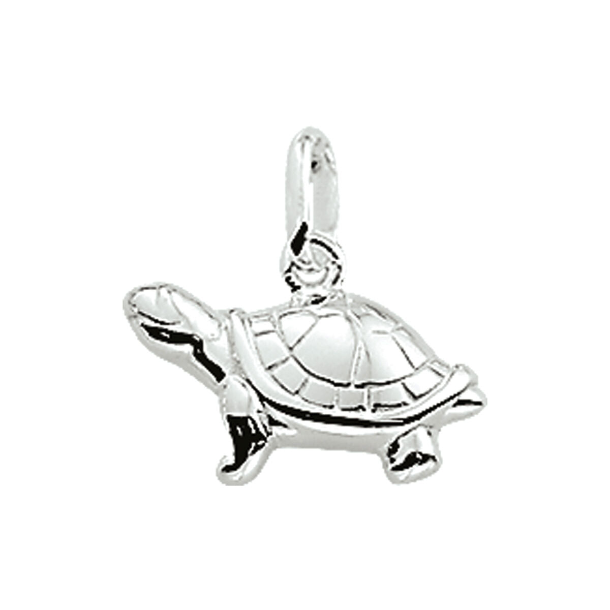 Zilveren Schildpad Hangertje | Voor Armband of Ketting